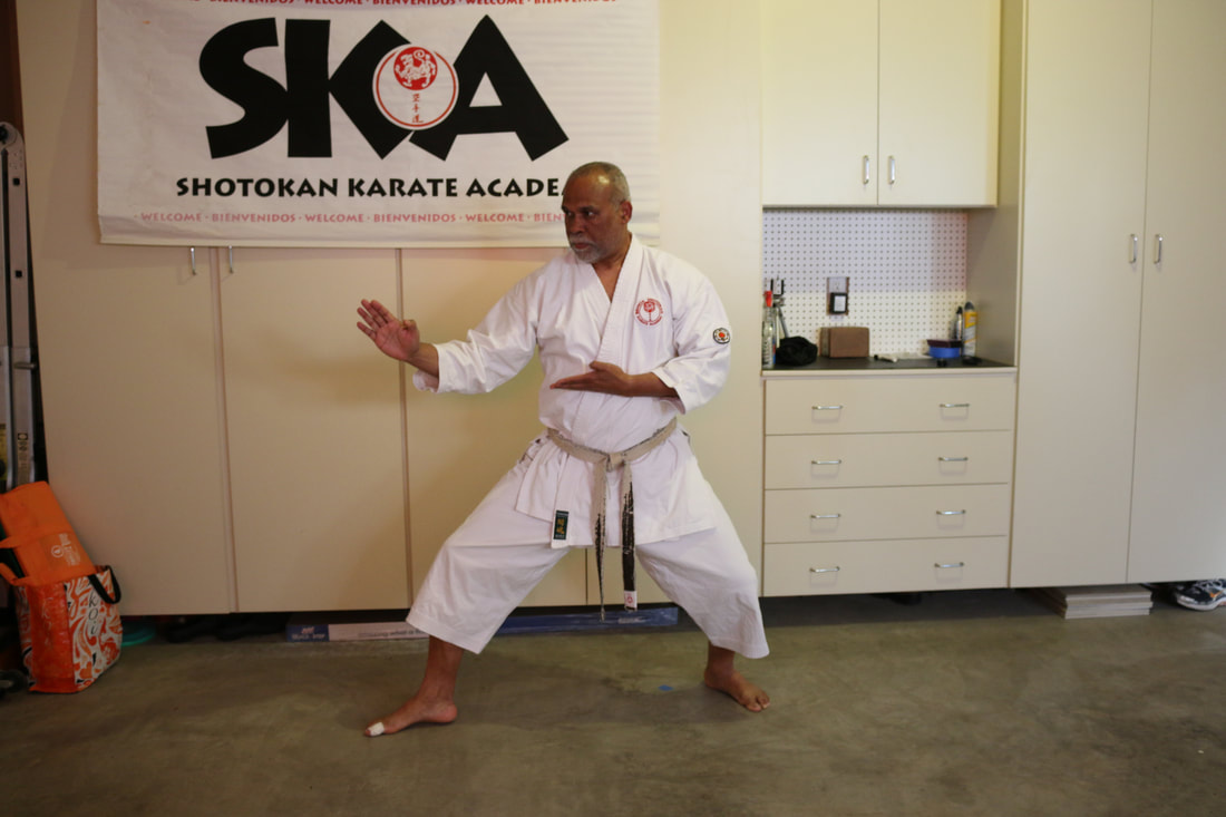 Virtual Karate Classes online with Sensei Rick Llewelyn
